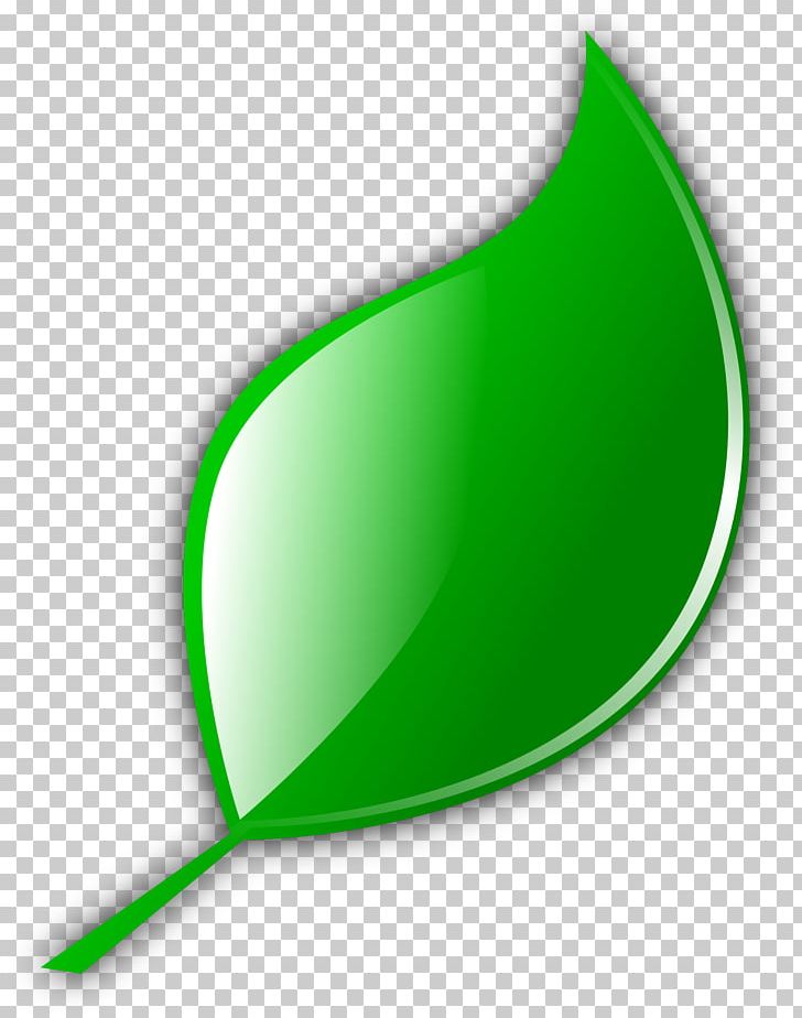 Green Tea Leaf Computer Icons PNG, Clipart, Bamboo, Clip Art, Color, Computer Icons, Desktop Wallpaper Free PNG Download