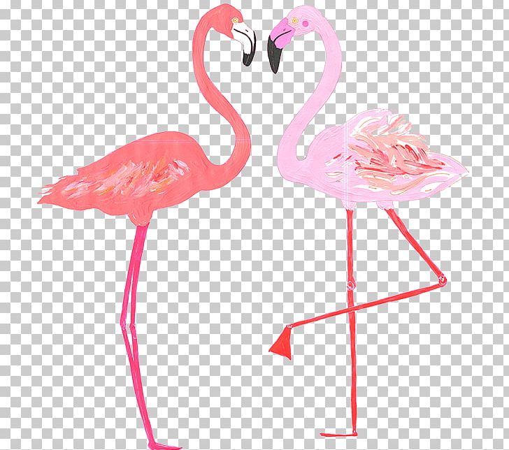Babb Photo Flamingo PNG, Clipart, Animals, Babb, Beak, Bird, Feather Free PNG Download