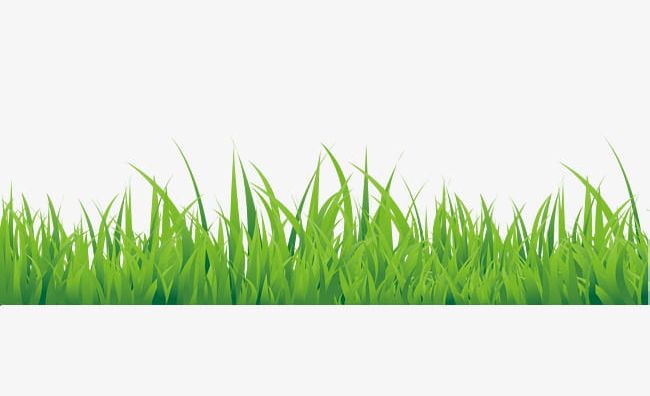 Green Hand Painted Small Grass Border Texture PNG, Clipart, Border, Border Clipart, Border Texture, Grass, Grass Clipart Free PNG Download