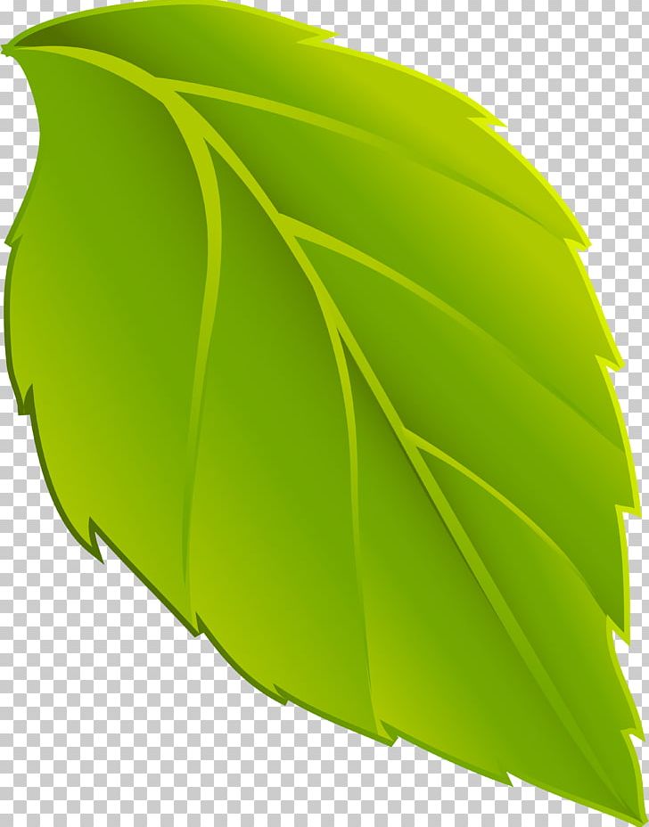 Leaf Animation Plant PNG, Clipart, Animation, Banana Leaf, Fruit Nut, Green, Leaf Free PNG Download