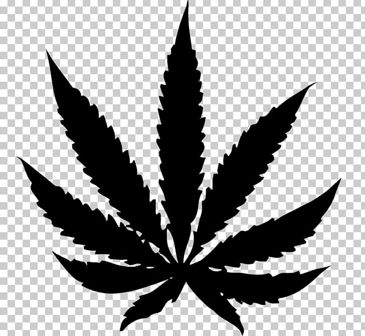 Medical Cannabis Hemp Smoking PNG, Clipart, Black And White, Cannabis, Coffee Jar, Decriminalization, Food Drinks Free PNG Download