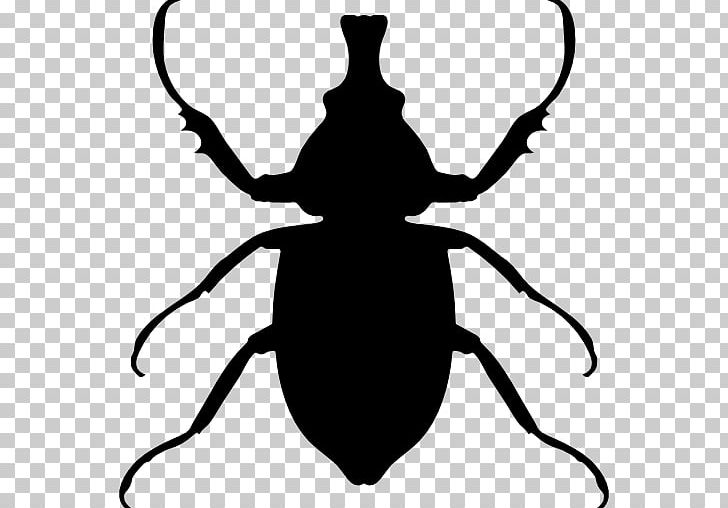 Beetle Silhouette PNG, Clipart, Animal, Animals, Artwork, Beetle, Black Free PNG Download