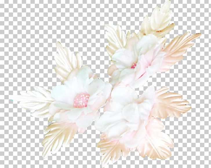 Cut Flowers Floral Design Petal PNG, Clipart, Become, Blossom, Cut Flowers, Deco, Feather Free PNG Download