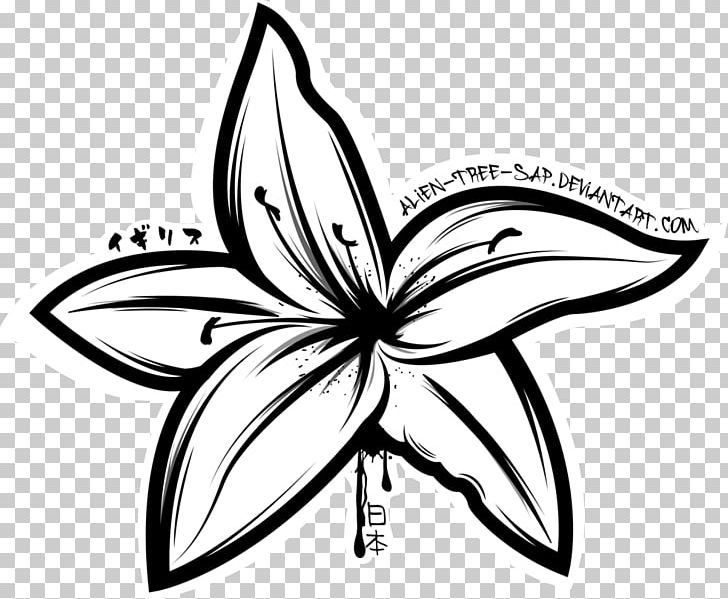 Drawing Lilium 'Stargazer' Tiger Lily Flower PNG, Clipart, Area, Artwork, Black And White, Butterfly, Calla Lily Free PNG Download