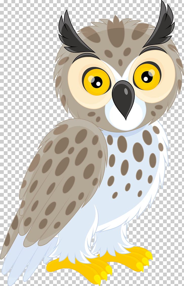 Long-eared Owl Short-eared Owl PNG, Clipart, Animals, Barn Owl, Beak, Bird, Bird Of Prey Free PNG Download