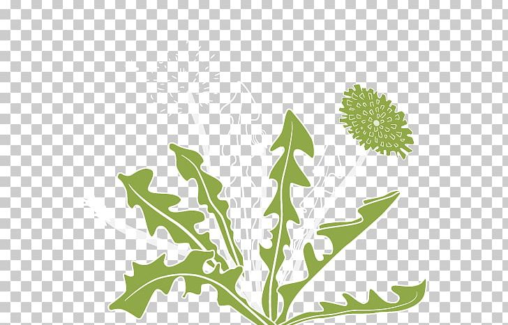 Dandelion Plant Stem Leaf PNG, Clipart, Branch, Crown, Crown Clipart, Dandelion, Digestion Free PNG Download