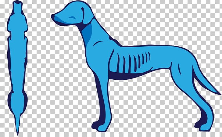 Dog Breed Italian Greyhound Nutrition Pet PNG, Clipart, Artwork, Breed, Carnivoran, Diet, Dog Free PNG Download