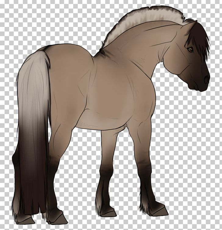 Mane Foal Stallion Mare Mustang PNG, Clipart, Animal Figure, Bridle, Cartoon, Colt, Fjord Horse Free PNG Download