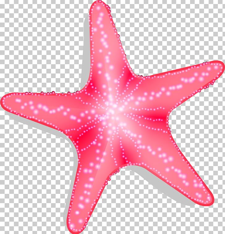 Starfish Pisaster Brevispinus Euclidean PNG, Clipart, Air, Animals, Breat, Encapsulated Postscript, Gules Free PNG Download