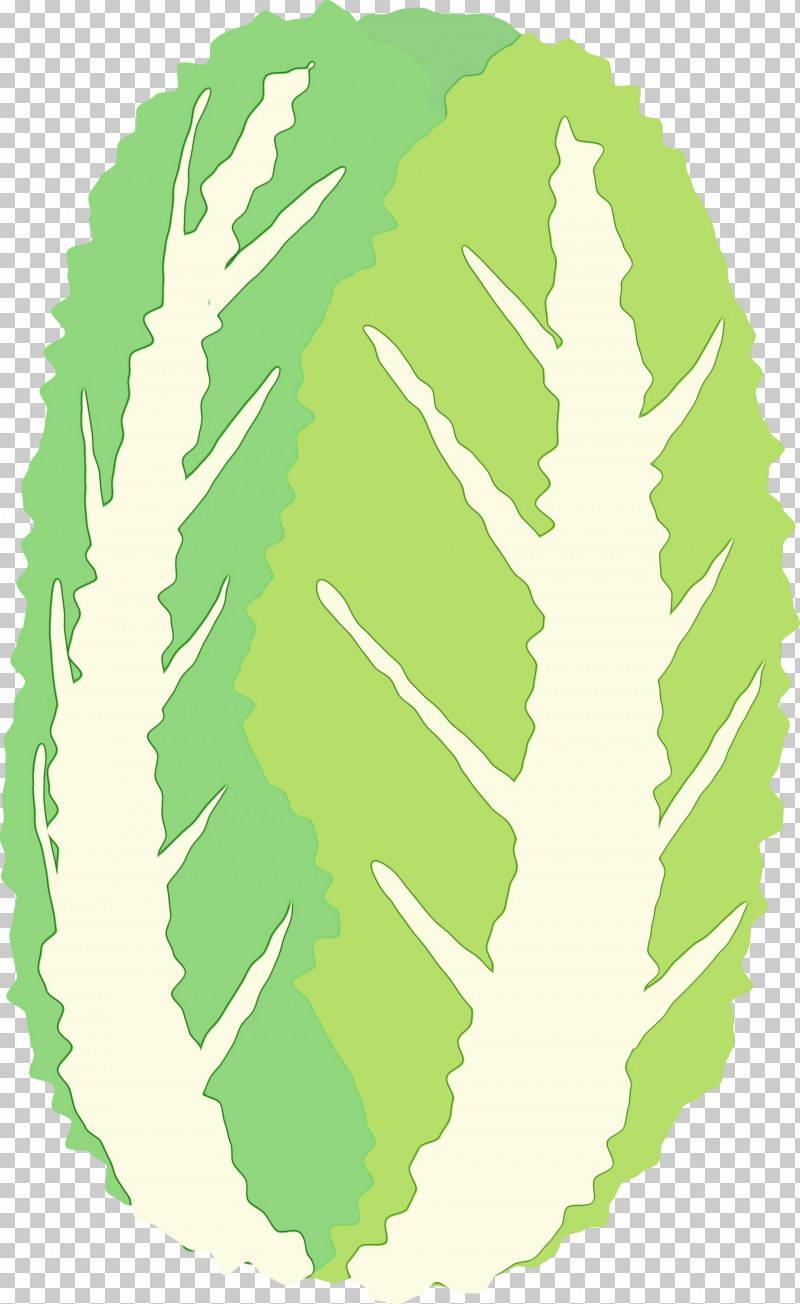 Leaf Plant PNG, Clipart, Leaf, Nappa Cabbage, Paint, Plant, Watercolor Free PNG Download