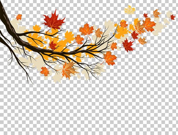 Autumn Leaf Color Maple Leaf PNG, Clipart, Autumn, Autumn Tree, Branch, Color, Computer Wallpaper Free PNG Download