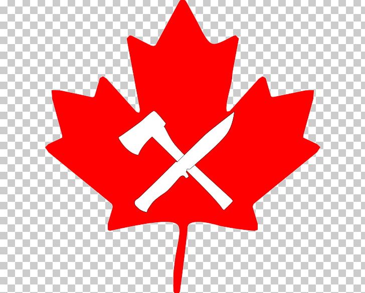 Flag Of Canada Maple Leaf Portable Network Graphics PNG, Clipart, Area, Canada, Flag, Flag Of Canada, Flower Free PNG Download