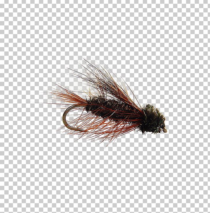 Artificial Fly Fly Fishing Insect PNG, Clipart, Artificial Fly, Brand, Brand Ambassador, Closeup, Clothing Accessories Free PNG Download