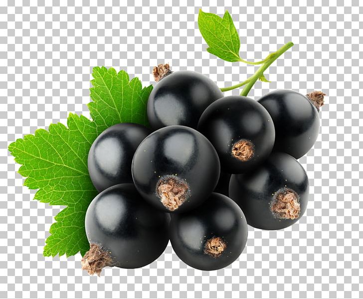Blackcurrant Zante Currant Flavor Juice Redcurrant PNG, Clipart, Berry, Bilberry, Blackberry, Black Currant, Blueberry Free PNG Download