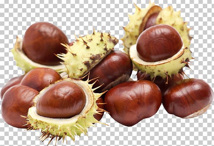 European Horse-chestnut Food Stock Photography PNG, Clipart, Canning, Chestnut, European, European Horsechestnut, Flavor Free PNG Download