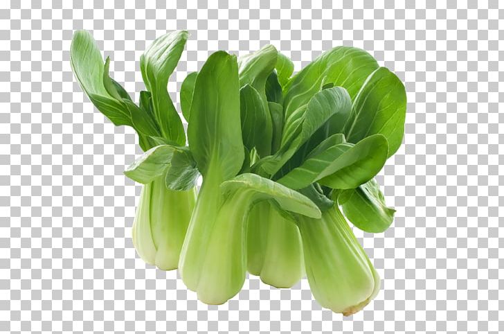 Spring Greens Chinese Cuisine Tang Frères Komatsuna Shiitake PNG, Clipart, Allium Fistulosum, Bok Choy, Chinese Broccoli, Chinese Cuisine, Chou Free PNG Download