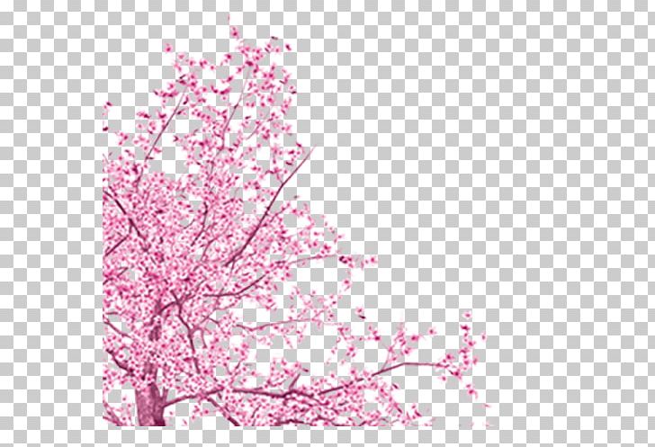 Tree PNG, Clipart, Blog, Blossom, Blossoms, Branch, Cherry Free PNG Download