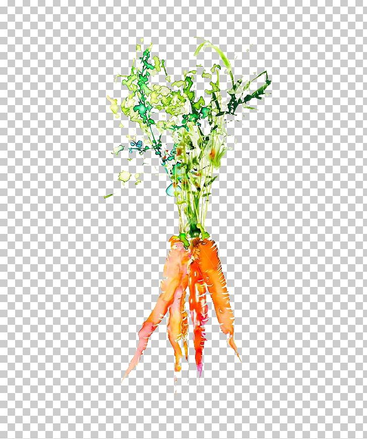 Watercolor Painting Vegetable Graphic Design Illustration PNG, Clipart, Branch, Carrot Juice, Cartoon, Cartoon Carrot, Fashion Illustration Free PNG Download