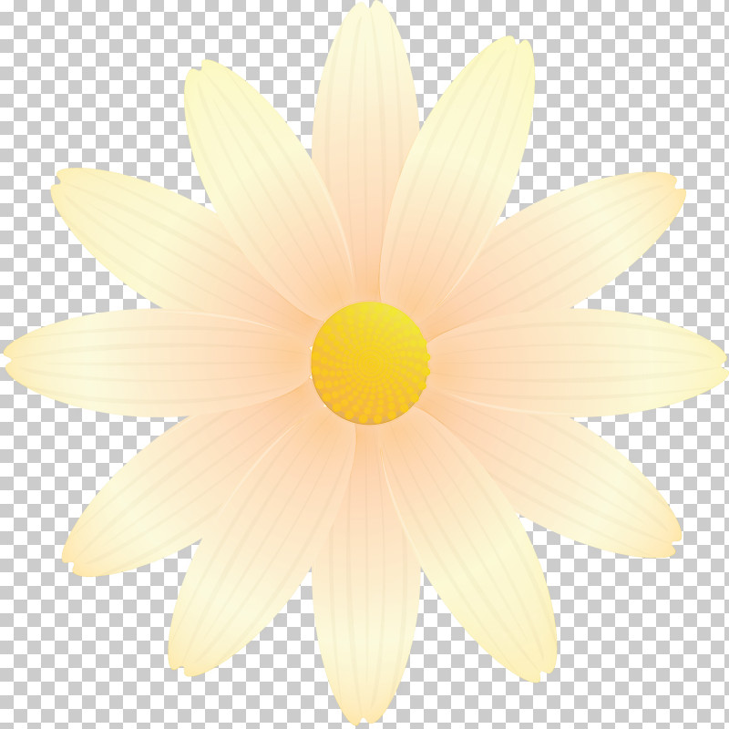 Marguerite Flower Spring Flower PNG, Clipart, Camomile, Chamomile, Daisy, Daisy Family, Flower Free PNG Download