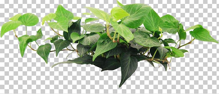 Branch Houseplant Flowerpot Tree PNG, Clipart, Artificial Flower, Branch, Color, Flowerpot, Graphic Design Free PNG Download