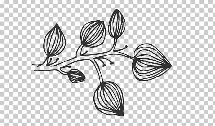 Flower Line . PNG, Clipart, Art, Black And White, Branch, Drawing, Flora Free PNG Download