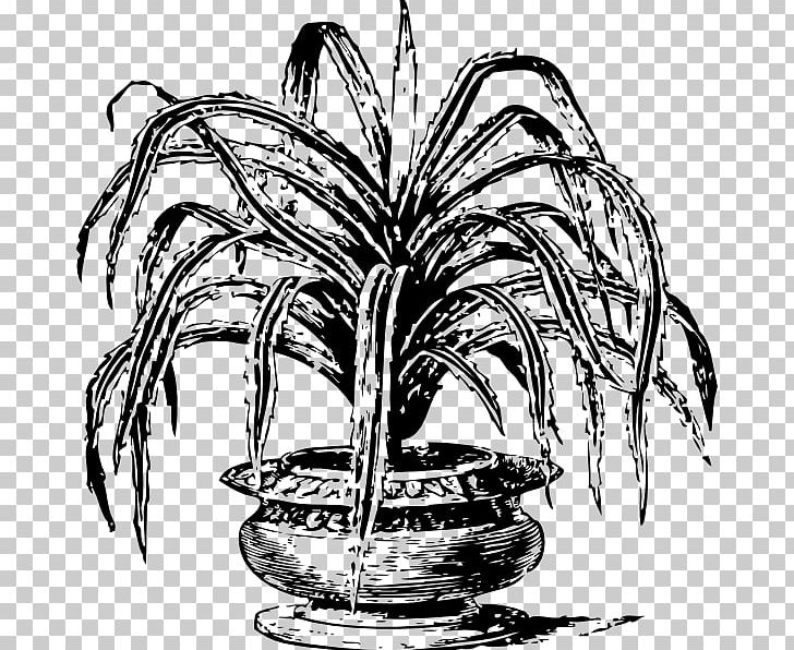 Others Palm Tree Flower PNG, Clipart, Arecales, Art, Artwork, Black And White, Christmas Tree Free PNG Download