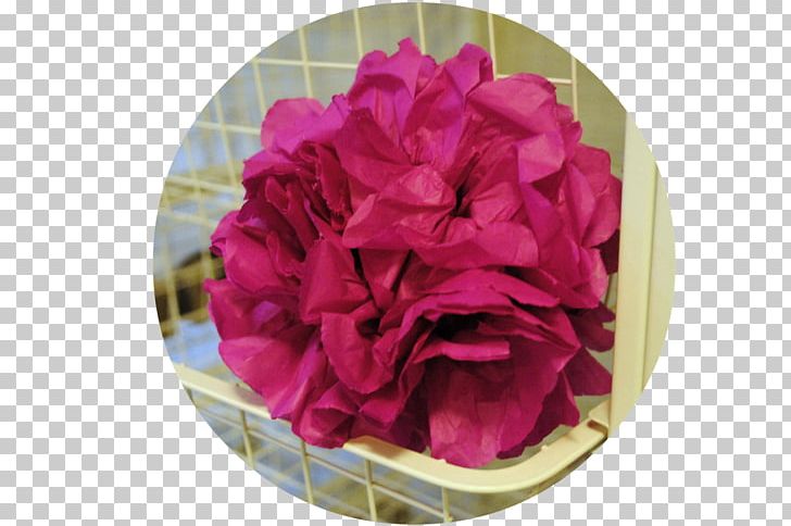 Cabbage Rose Garden Roses Carnation Cut Flowers Peony PNG, Clipart, Carnation, Cut Flowers, Flower, Flowering Plant, Garden Free PNG Download