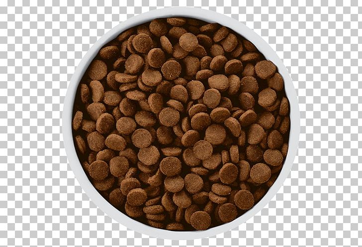 Dog Food Hill's Pet Nutrition Cat Food PNG, Clipart,  Free PNG Download