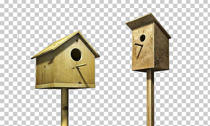 Edible Birds Nest PNG, Clipart, Animals, Birdhouse, Bird Nest, Birds Nest, Clock Free PNG Download