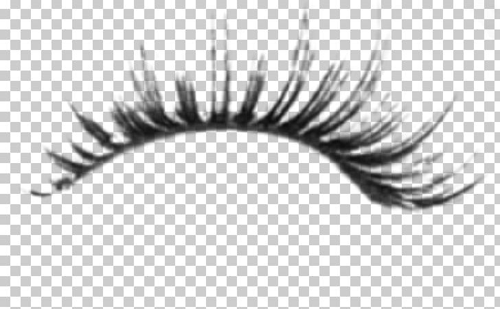 Eyelash Brush Eyebrow PNG, Clipart, Art Party, Beauty, Black And White, Brush, Cosmetics Free PNG Download
