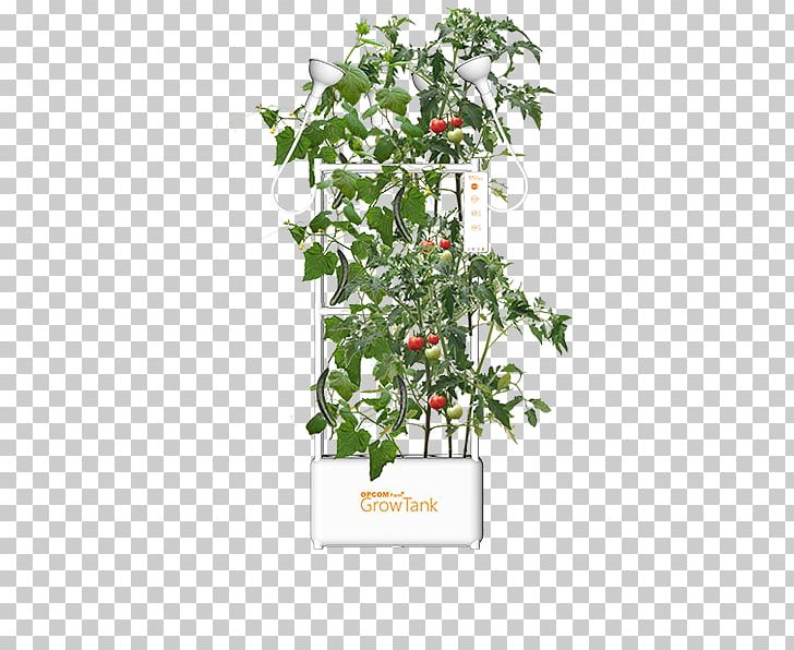 Houseplant Garden Flowerpot Hydroponics Plants PNG, Clipart, Branch, Environmentally Friendly, Evergreen, Farm, Flora Free PNG Download