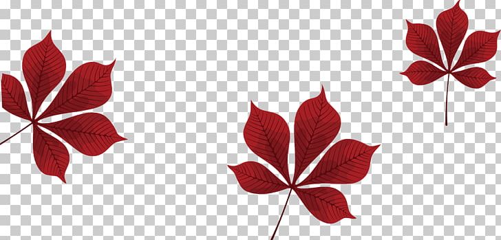 Petal Red Leaf Pattern PNG, Clipart, Deciduous, Design, Fall Leaves, Flower, Handpainted Maple Leaf Free PNG Download