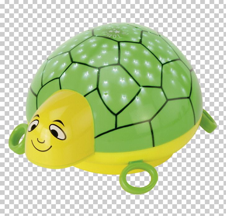 Turtle Tortoise Green ANSMANN Nightlight PNG, Clipart, Animals, Ansmann, Blue, Child, Color Free PNG Download
