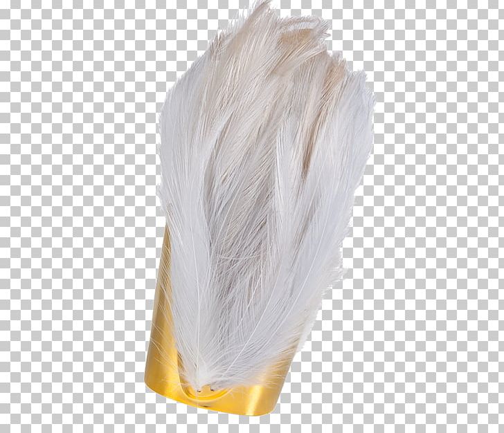 Feather PNG, Clipart, Feather Free PNG Download