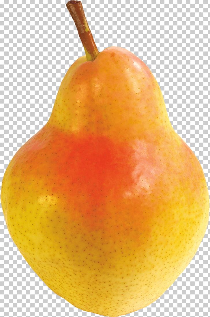 Pyrus × Bretschneideri Asian Pear Pyrus Nivalis Clementine Fruit PNG, Clipart, Asian Pear, Befit, Better, Blood Orange, Citrus Free PNG Download