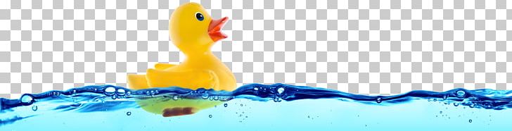 Rubber Duck Stock Photography Bathtub Toy PNG, Clipart, Animals, Bathtub, Beak, Bird, Child Free PNG Download