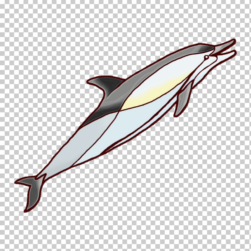 Dolphin Fish Line Biology Science PNG, Clipart, Biology, Dolphin, Fish, Line, Paint Free PNG Download