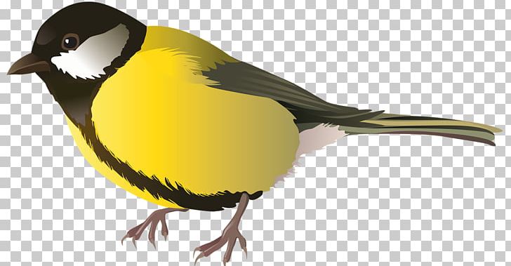 Bird Open Portable Network Graphics PNG, Clipart, American Goldfinch, Animals, Beak, Bird, Chickadee Free PNG Download