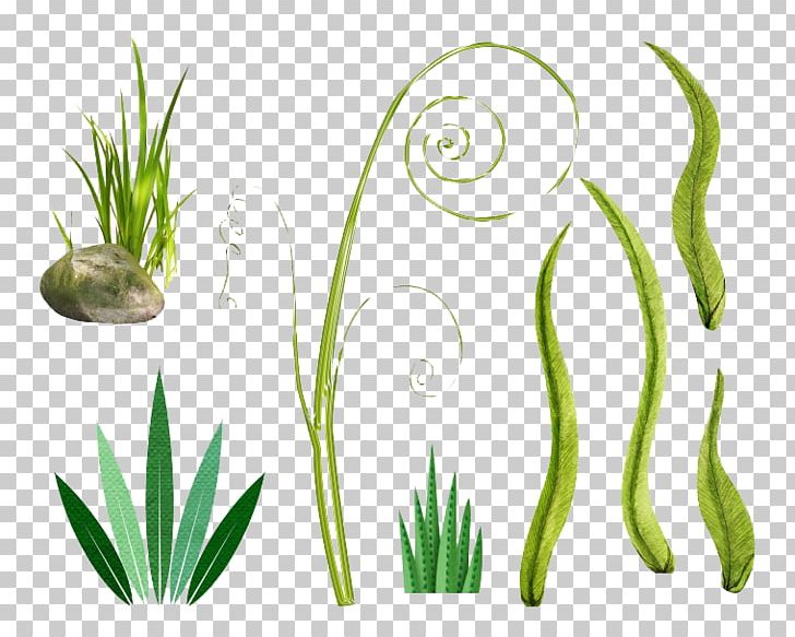 Grass Bamboo PNG, Clipart, Art Green, Background Green, Bamboo, Clip Art, Download Free PNG Download