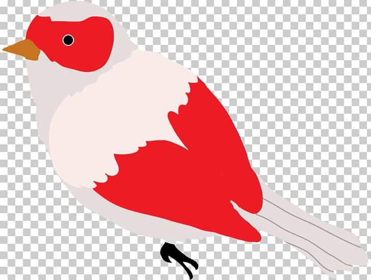 Hummingbird Coloring Book PNG, Clipart, Animals, Beak, Bird, Bird Flight, Birds Free PNG Download