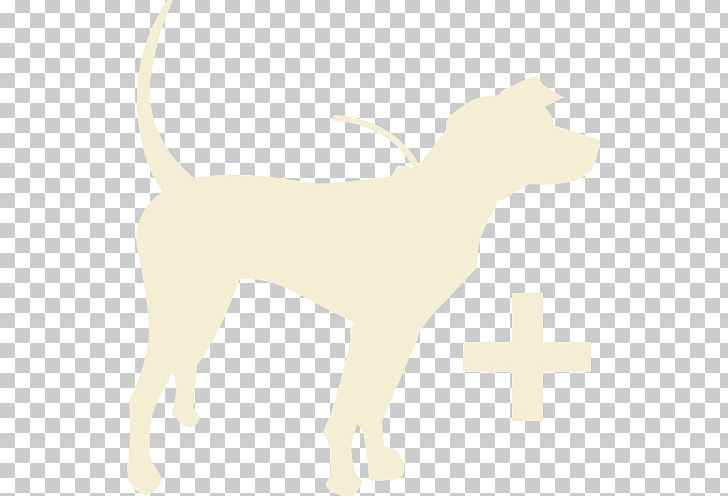 Dog Breed Puppy Cat PNG, Clipart, Animals, Breed, Carnivoran, Cat, Cat Like Mammal Free PNG Download