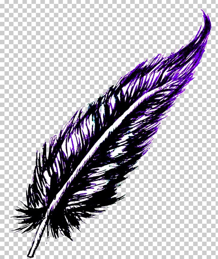 Feather PNG, Clipart, Aleph, Animals, Feather, Purple, Quill Free PNG Download