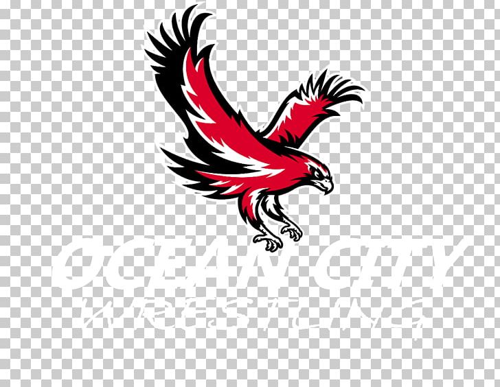 Ocean City High School Logo Red Oakland PNG, Clipart, Beak, Bird, Bird Of Prey, Chicken, City Free PNG Download