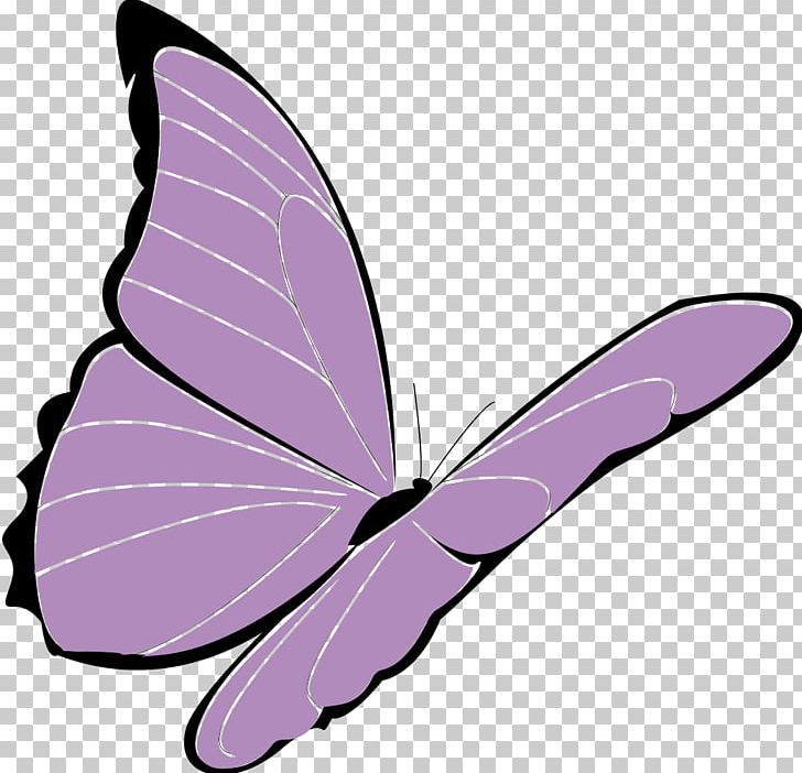 Butterfly PNG, Clipart, Apng, Brush Footed Butterfly, Butterflies And Moths, Butterfly, Insect Free PNG Download