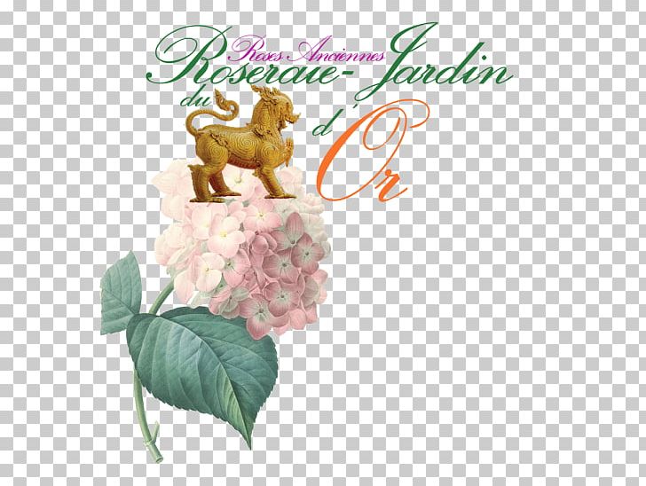 French Hydrangea Oakleaf Hydrangea Flower PNG, Clipart, Art, Botanical Illustration, Cut Flowers, Decoupage, Floral Design Free PNG Download