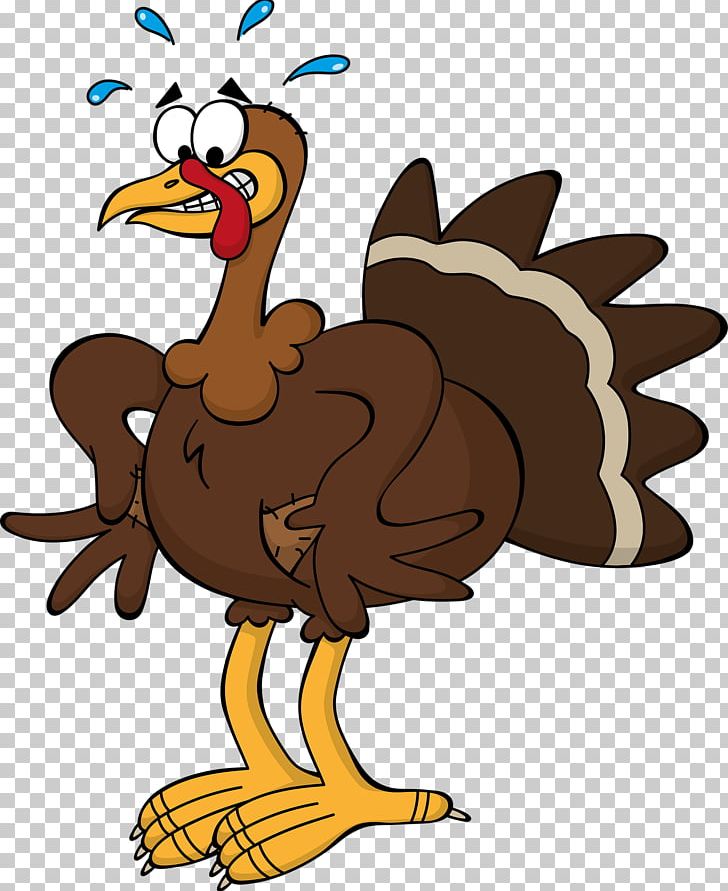 Black Turkey Thanksgiving Cartoon PNG, Clipart, Animal, Animation, Art, Beak, Bird Free PNG Download