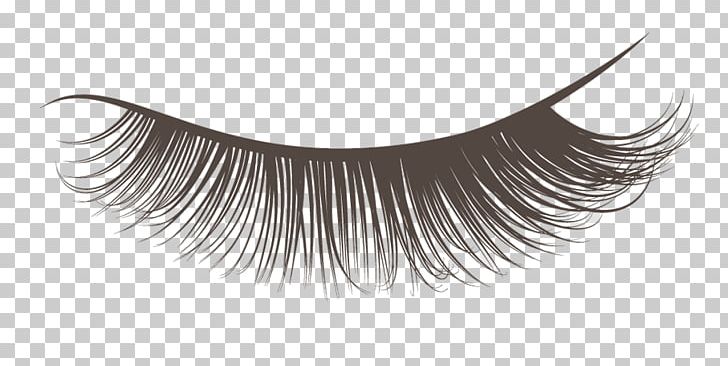 Eyelash Extensions Cosmetics Mascara PNG, Clipart, Adhesive, Artificial Hair Integrations, Beauty, Black And White, Computer Icons Free PNG Download