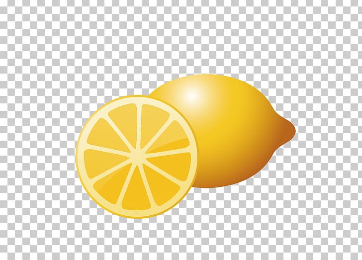 Lemon Vitamin C Fruit PNG, Clipart, Auglis, Circle, Citric Acid, Citron, Citrus Free PNG Download