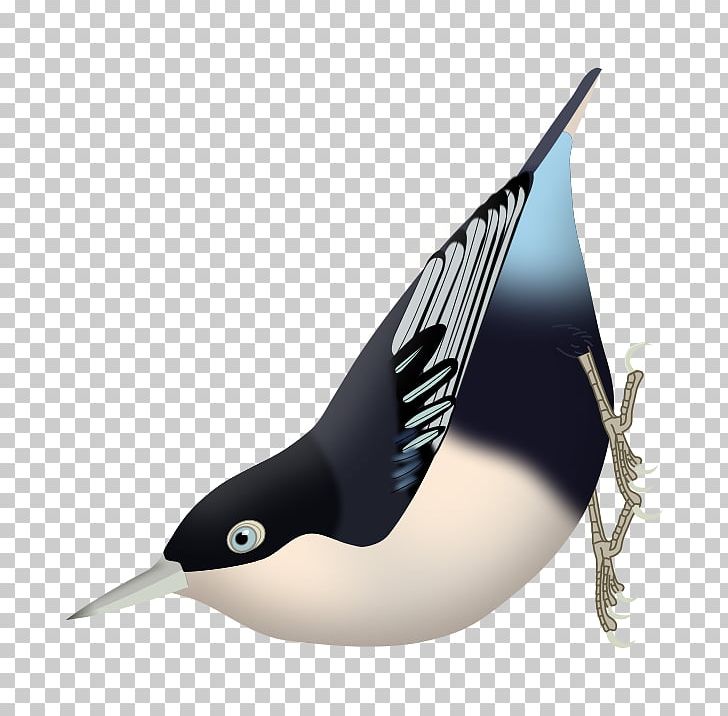 Bird Eurasian Nuthatch Corsican Nuthatch Blue Nuthatch PNG, Clipart, Animals, Beak, Beautiful Nuthatch, Bird, Blue Nuthatch Free PNG Download