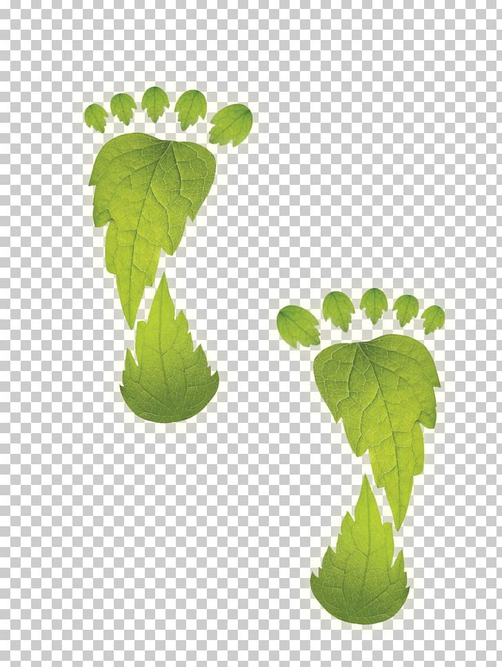 Environmentally Friendly Ecological Footprint Energy Conservation Carbon Footprint PNG, Clipart, Clog, Ecological Footprint, Energy, Energy Conservation, Environment Free PNG Download